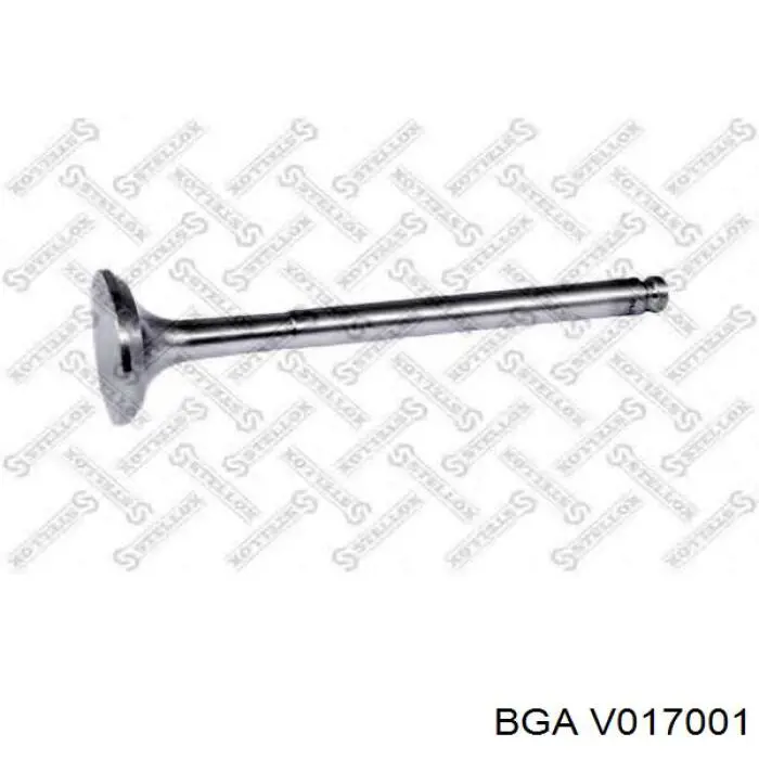 V017001 BGA Випускний клапан двигуна