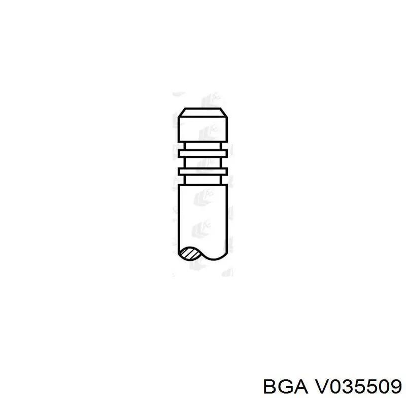 V035509 BGA Клапан випускний
