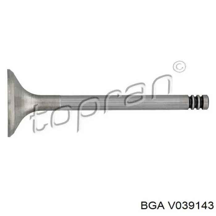 Клапан впускний R4899 Freccia