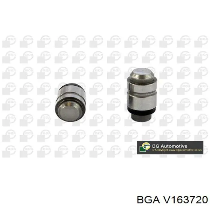 V163720 BGA клапан впускний