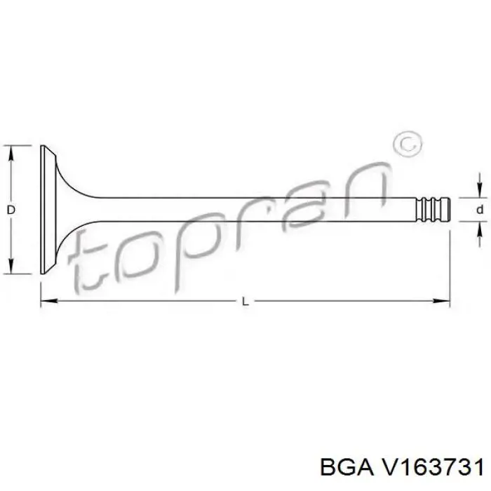 V163731 BGA клапан випускний