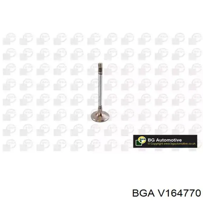 V164770 BGA клапан впускний