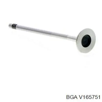 V165751 BGA Клапан випускний