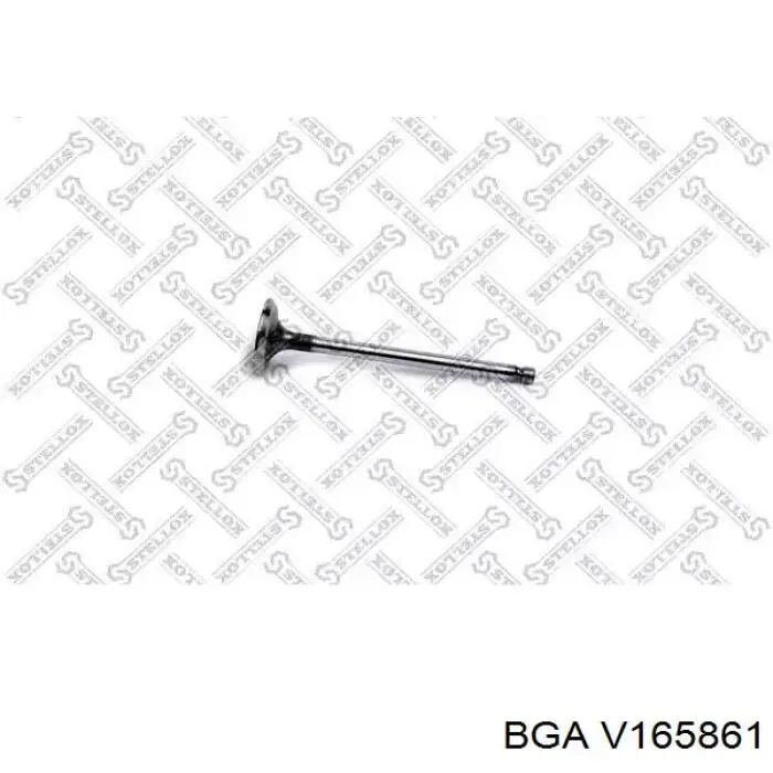 V165861 BGA Випускний клапан двигуна