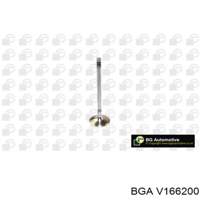 V166200 BGA клапан впускний