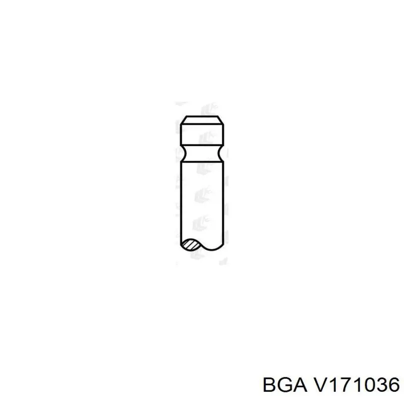 V171036 BGA клапан впускний