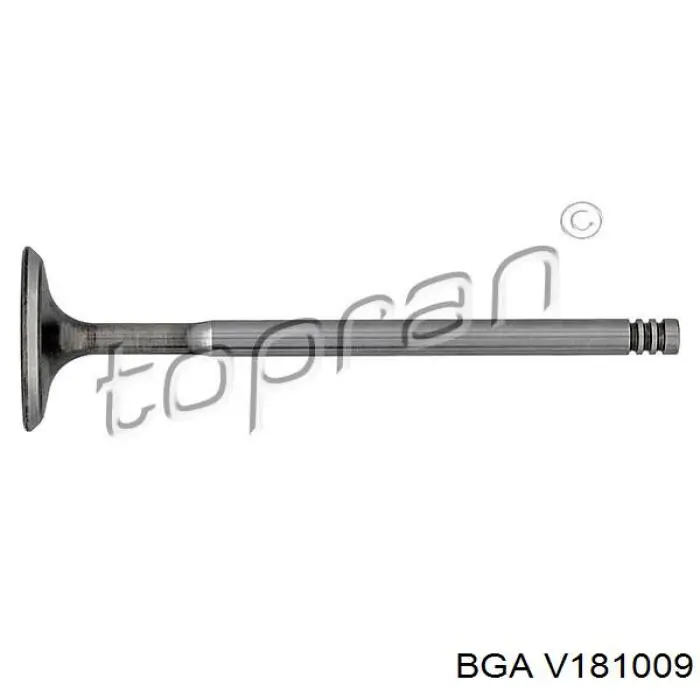 V181009 BGA клапан впускний