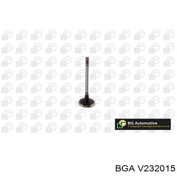 Клапан впускний R6713 Freccia