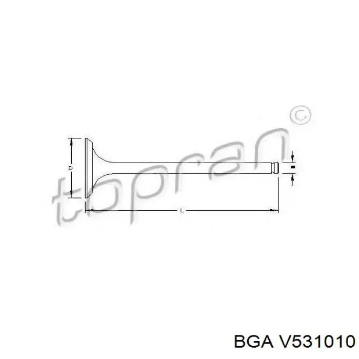V531010 BGA клапан впускний