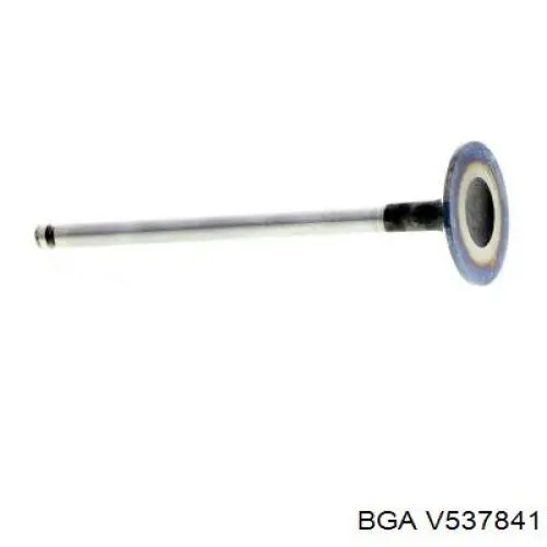 Купити V537841 BGA Клапан впускний