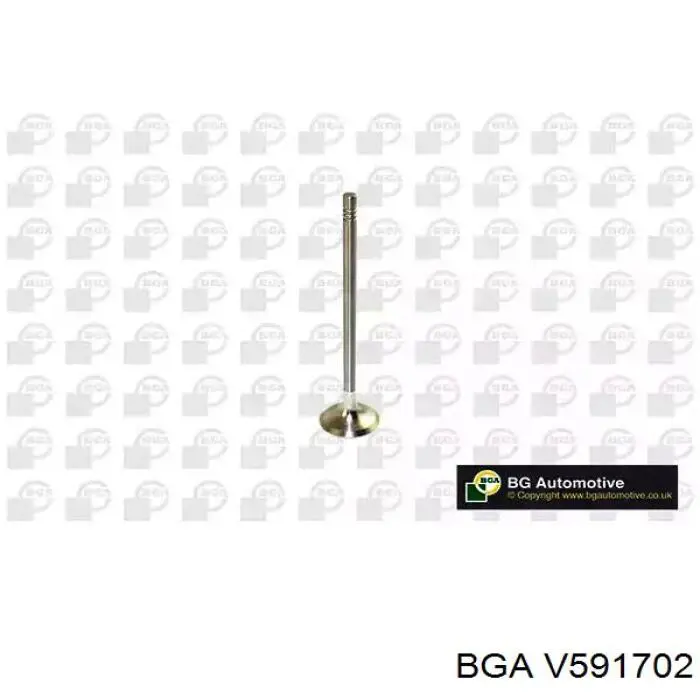 V591702 BGA клапан випускний