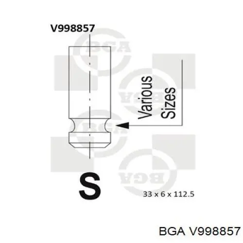 V998857 BGA клапан впускний