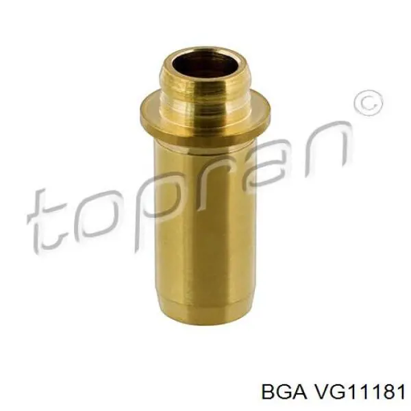 Купити VG11181 BGA Направляюча клапана