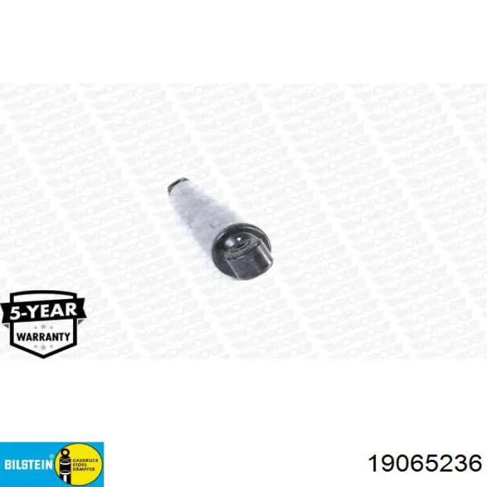Задній амортизатор Renault (RVI) 8671013009