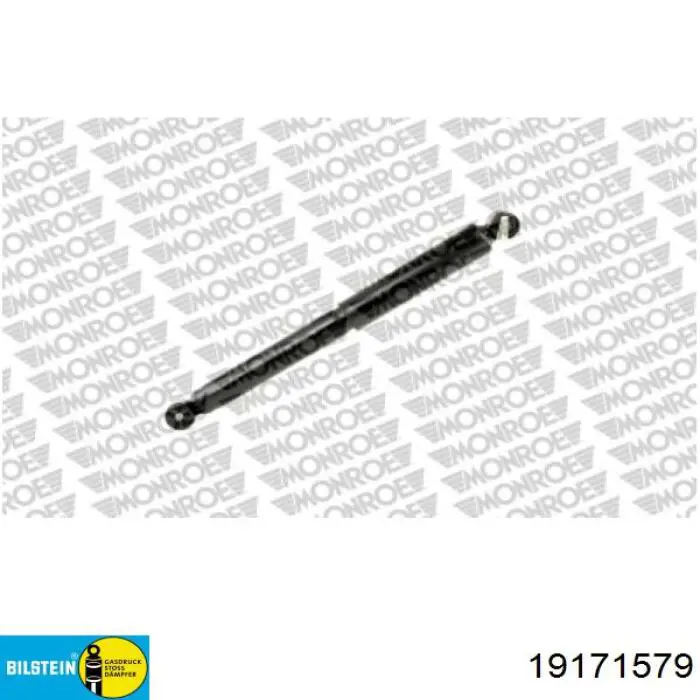 Амортизатор задній 19171579 Bilstein