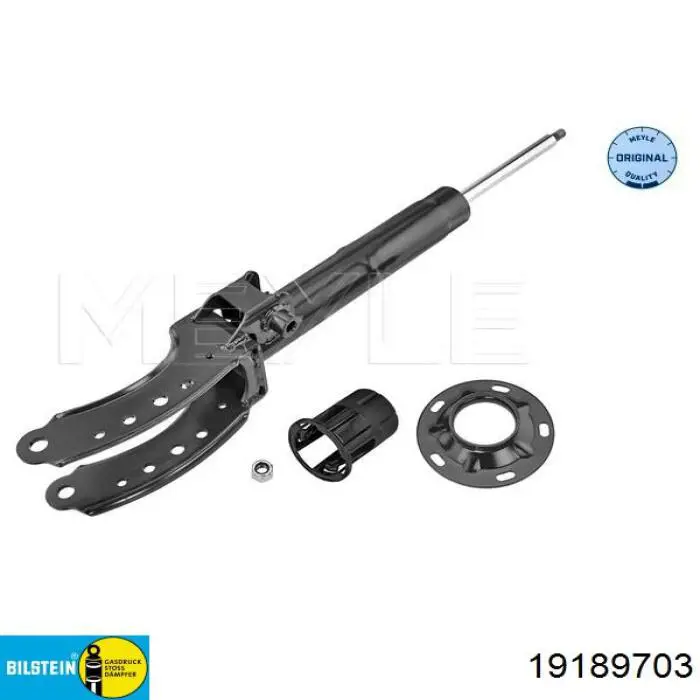 Купити RS315998 Raiso Амортизатор передній, правий