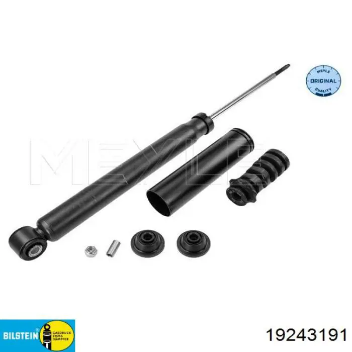 Амортизатор задній 8660005989 Renault (RVI)