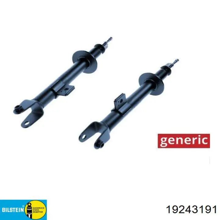 Задній амортизатор Renault (RVI) 8660005989