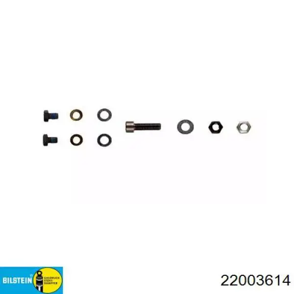 Амортизатори передні Bilstein 22003614