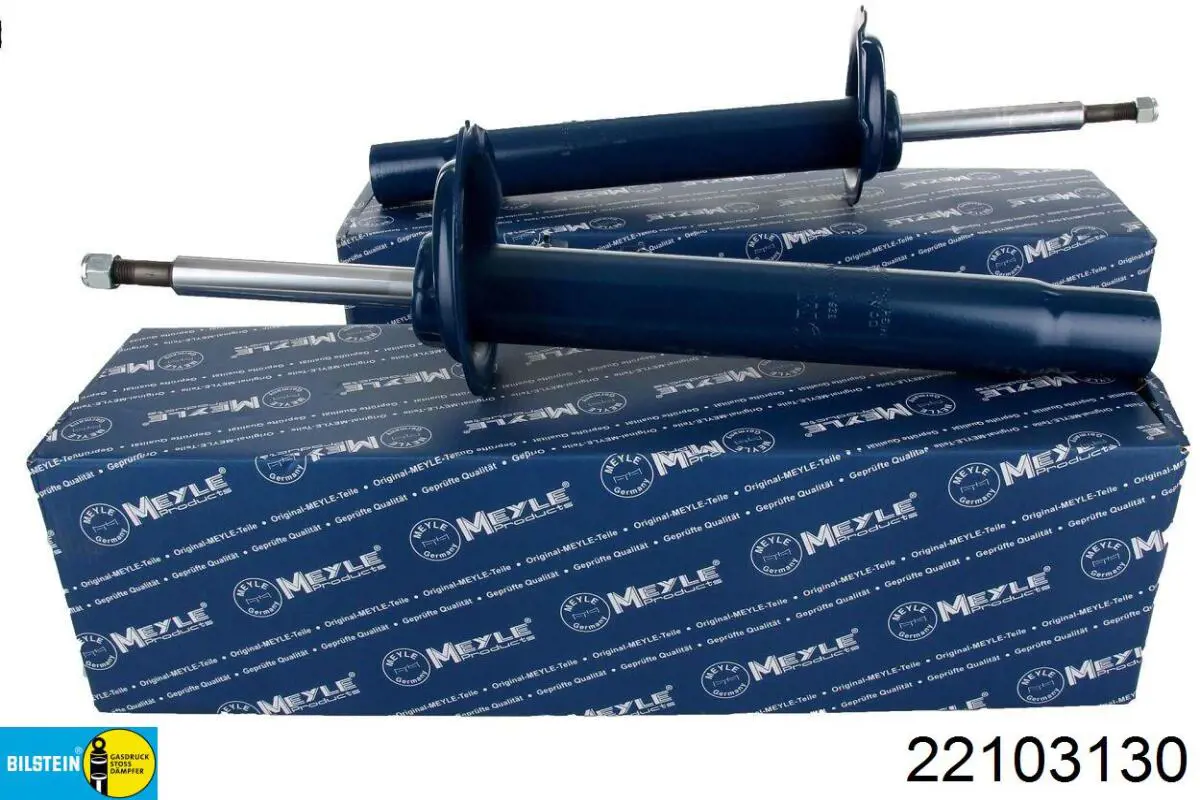 Амортизатор передньої підвіски, лівий Bilstein 22103130 ціна, від 81.33 USD
