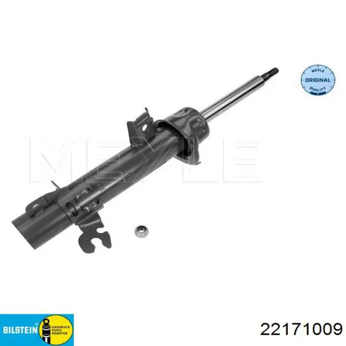Амортизатор передній, правий Bilstein 22171009 ціна, від 68.48 USD
