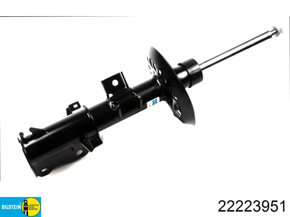 Амортизатор передній RS314885 Raiso