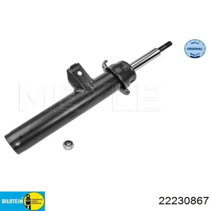 Амортизатора передній лівий RS317562 Raiso