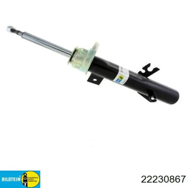 Купити RS317562 Raiso Амортизатора передній лівий