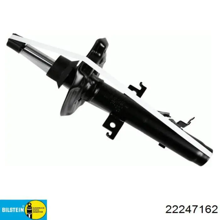 Амортизатор передній, правий Raiso RS317627 ціна, від 60.87 USD