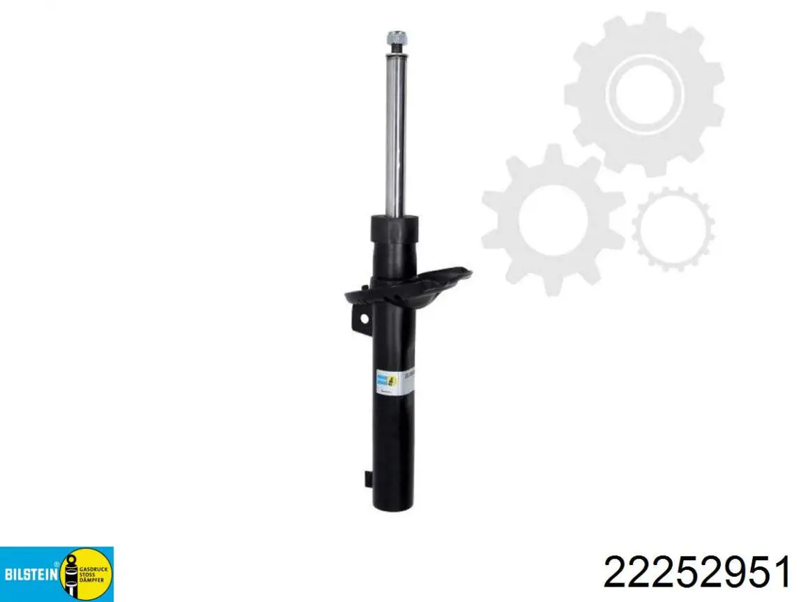 Амортизатор передній, правий Raiso RS318293 ціна, від 50.11 USD