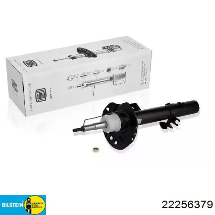 Купити RS256379 Raiso Амортизатор передній, правий