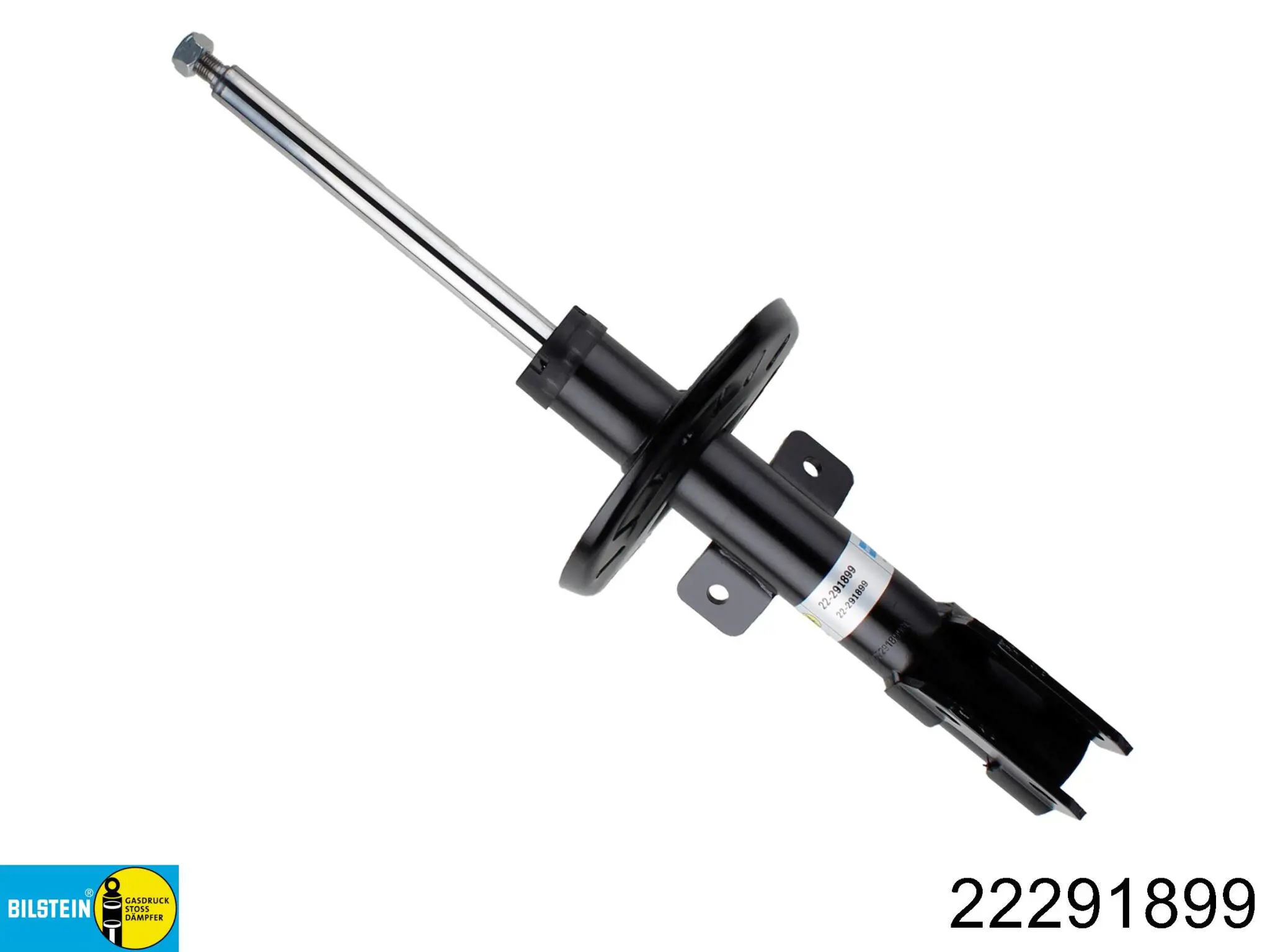 Амортизатор передній RS319556 Raiso