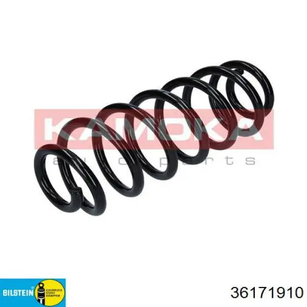 Задні пружини 36171910 Bilstein