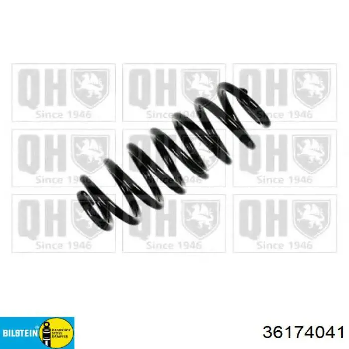 Пружина задня Raiso SR131TP ціна, від 30.41 USD