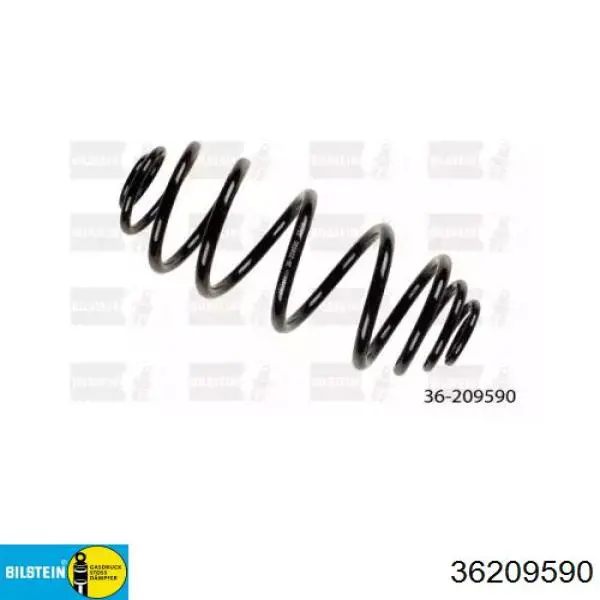 Купити SR074TP Raiso Задні пружини