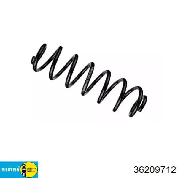 Задні пружини 72891 Asam