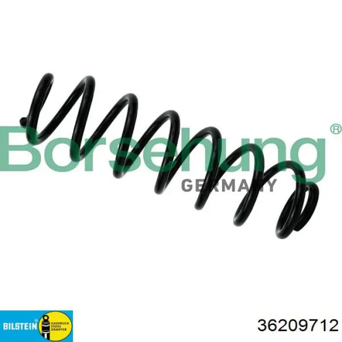 Купити 72891 Asam Задні пружини