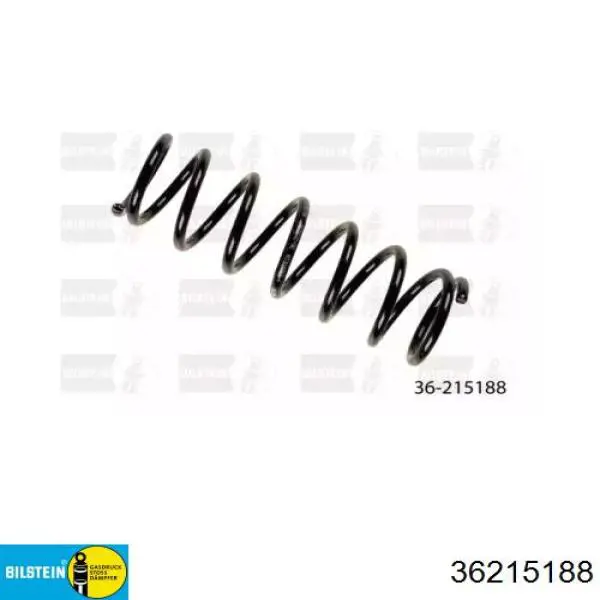 HO52710 Tashiko Пружина підвіски задня