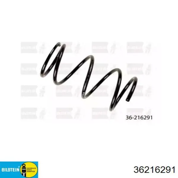 Купити 20102132 Profit Гвинтова пружина підвіска