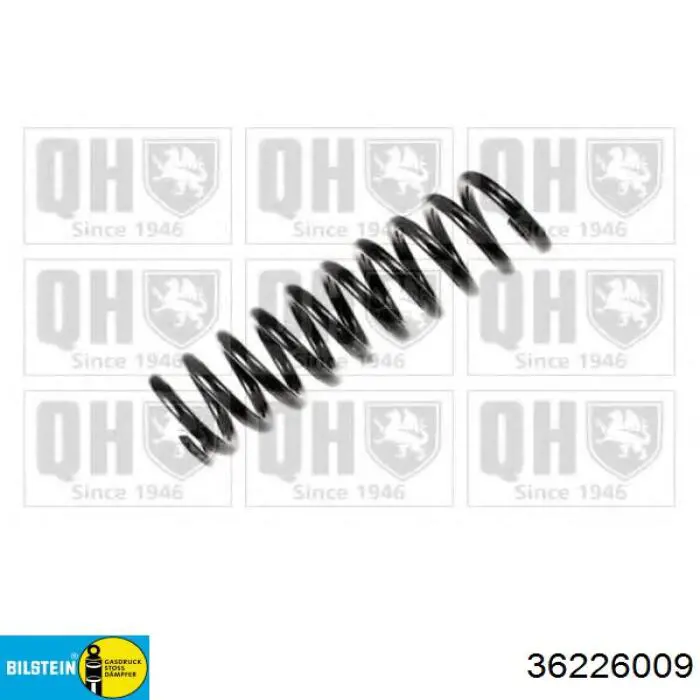 Купити 36226009 Bilstein Задні пружини