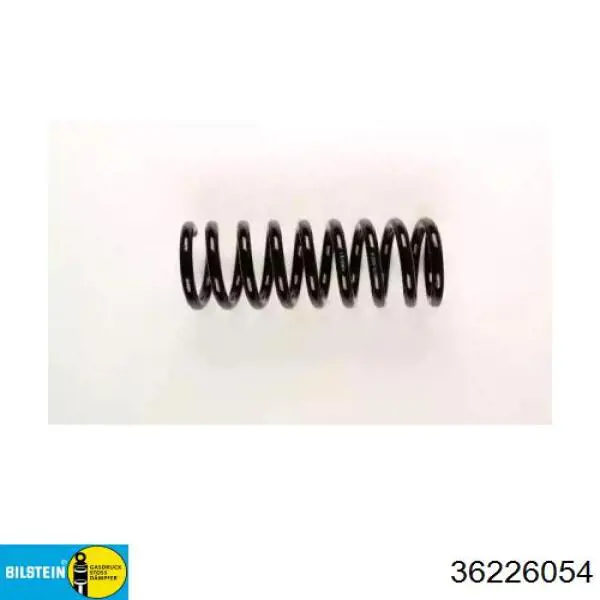 Купити A1163240904 Mercedes Задні пружини