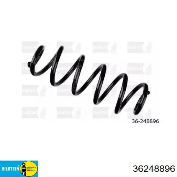Купити SR099TP Raiso Задні пружини