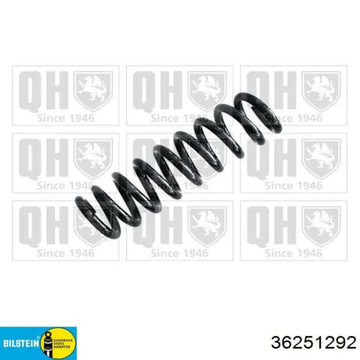 Купити 33536851930 BMW Задні пружини