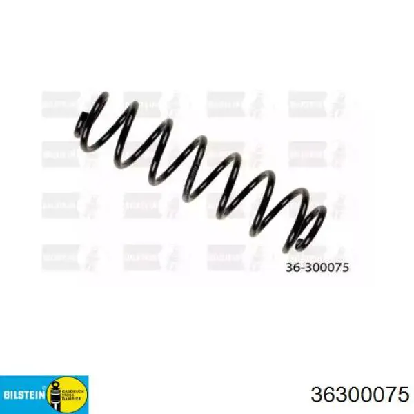 Задні пружини 544305 NK