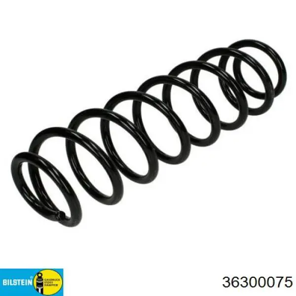 Задні пружини SR063TP Raiso