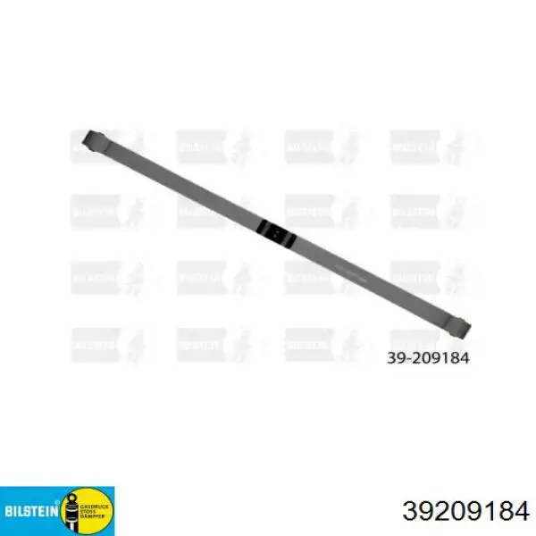 Купити 4101849 Ford Ресори задні (пружини задньої підвіски)