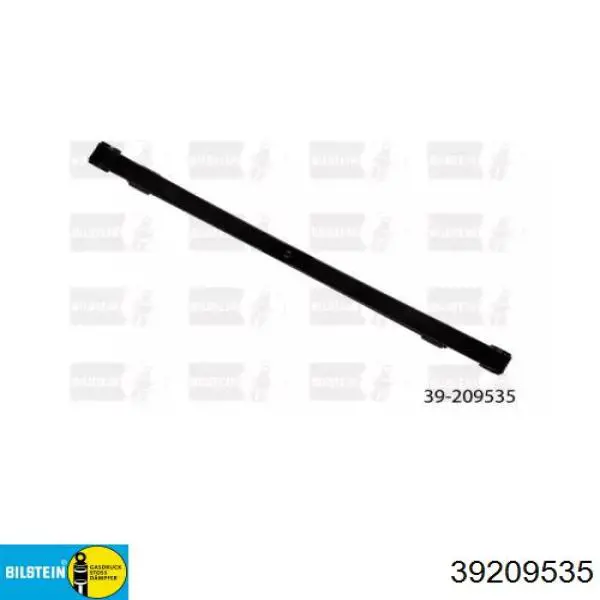 Купити 2T145560ER Zilbermann Ресори задні (пружини задньої підвіски)