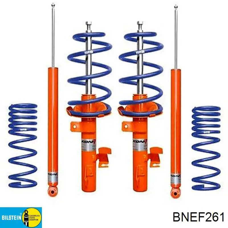 Амортизатор задній Bilstein BNEF261 ціна, від 26.21 USD