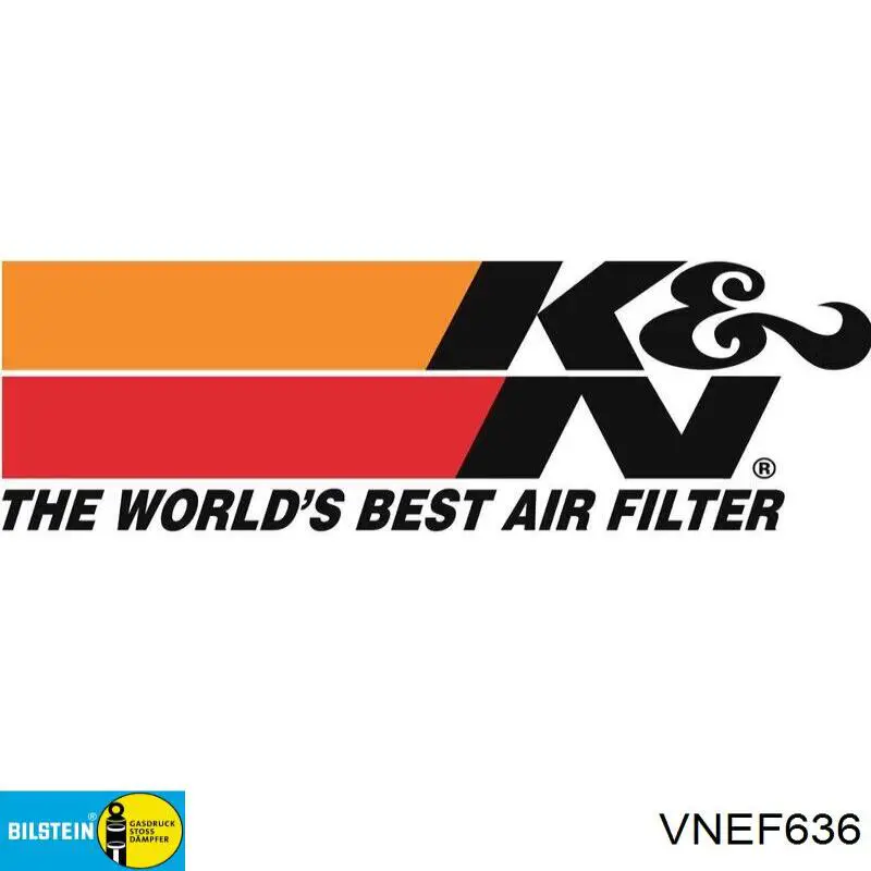 Амортизатор передній, правий VNEF636 Bilstein