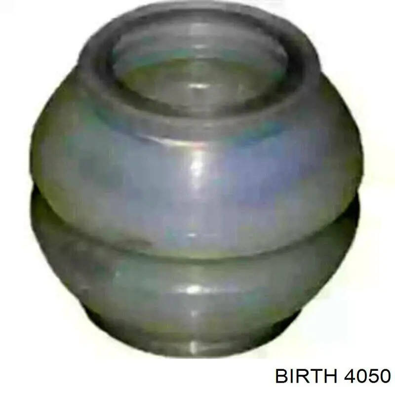 Купити 4050 Birth Втулка куліси